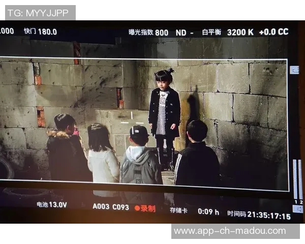 麻豆传媒兑换码-探索麻豆传媒的奥秘，兑换码的价值与应用-麻豆传媒麻豆币兑换码